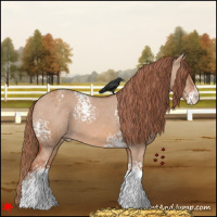 Horse Color:White Spotted Red Dun Varnish 