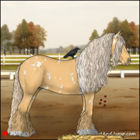 Horse Color:White Spotted Palomino 