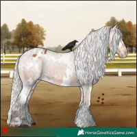 Horse Color:White Spotted Silver Bay Varnish 