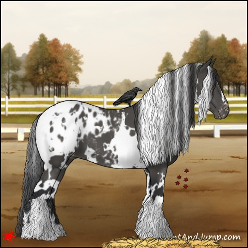 Horse Color:White Spotted Black Blanket 