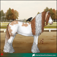 Horse Color:White Spotted Red Dun Splash Frame