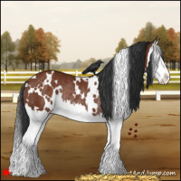 Horse Color:White Spotted Brown Splash Rabicano 