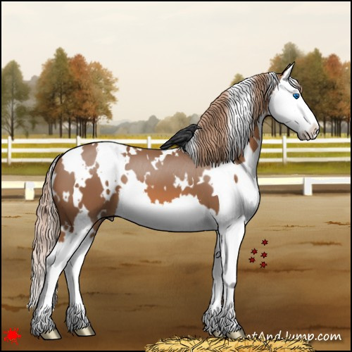 Horse Color:White Spotted Chestnut Splash