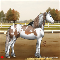 Horse Color:White Spotted Chestnut Splash