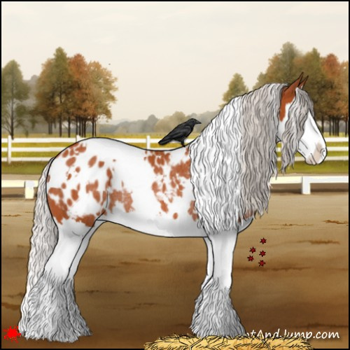 Horse Color:White Spotted Silver Bay Splash Appaloosa Rabicano 