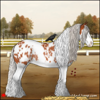 Horse Color:White Spotted Silver Bay Splash Appaloosa Rabicano