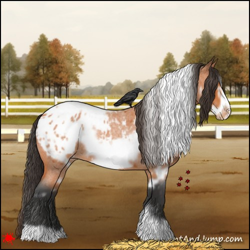 Horse Color:White Spotted Bay Roan Frame Appaloosa 