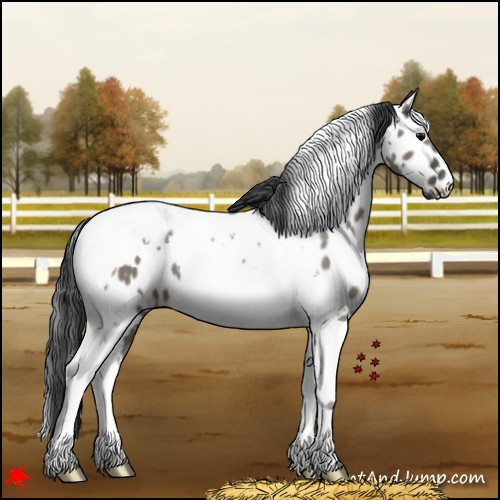 Horse Color:White Spotted Grullo Tobiano Appaloosa 