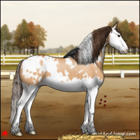 Horse Color:White Spotted Bay Dun Splash Blanket 