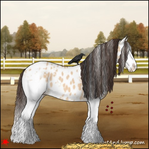 Horse Color:White Spotted Bay Dun Splash Appaloosa 
