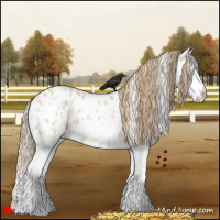 Horse Color:White Spotted Red Dun Roan Splash Near Leopard 