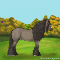 Horse Color:Smoky Grullo Roan Sabino Rabicano 