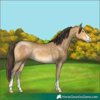 Horse Color:Sable Cream Champagne