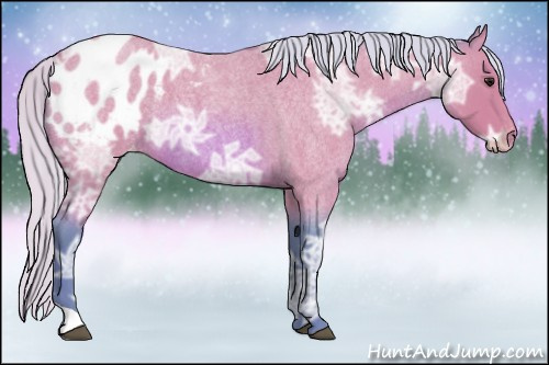 Horse Color:Watercolor Silver Bay Ice Roan Appaloosa 