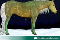 Horse Color:Void Watercolor Silver Bay Roan