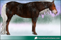Horse Color:Void Silver Bay Ice Roan 