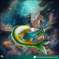 Horse Color:Brown Dun Tobiano