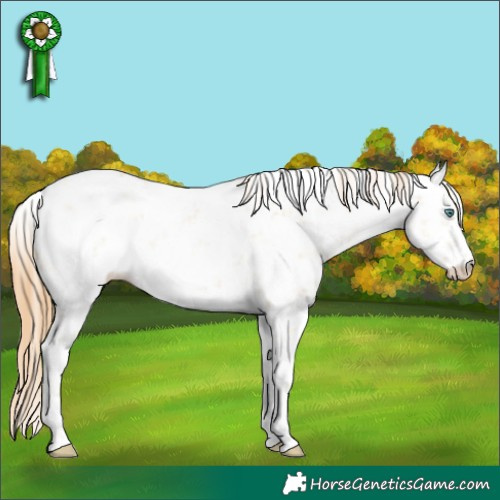 Horse Color:White Spotted Smoky Grullo Pearl Sabino 