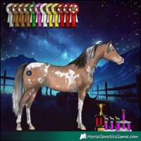Horse Color:White Spotted Sable Champagne Tobiano Rabicano 