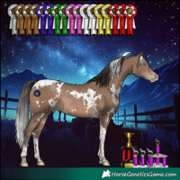 Horse Color:White Spotted Sable Champagne Tobiano Rabicano