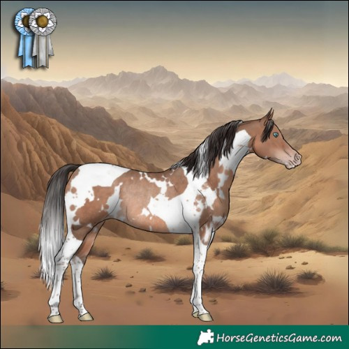 Horse Color:White Spotted Sable Champagne Tobiano Rabicano