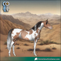 Horse Color:White Spotted Sable Champagne Tobiano Rabicano