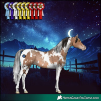 Horse Color:White Spotted Sable Champagne Tobiano Rabicano 