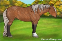 Horse Color:Silver Buckskin Roan 