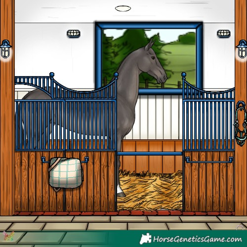 Horse Color:Smoky Black 