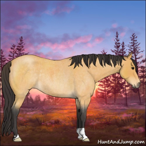 Horse Color:Buckskin Roan Rabicano 