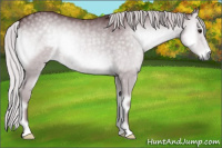 Horse Color:Chocolate Silver Blue Onyx Chinchilla 