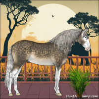 Horse Color:Silver Buckskin Dun Mushroom Sabino Splash Brindle