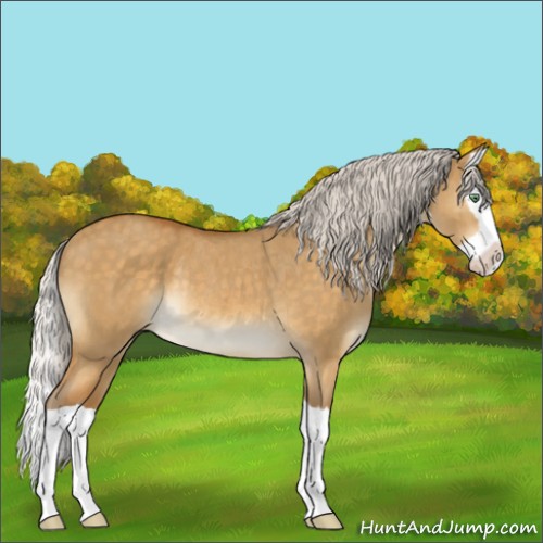 Horse Color:Silver Buckskin Dun Splash Rabicano Brindle 