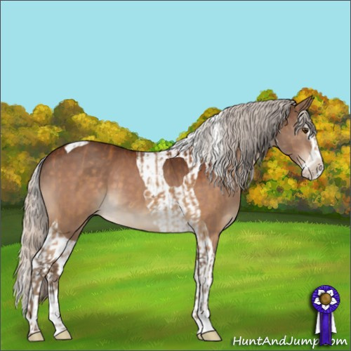 Horse Color:Silver Buckskin  and Silver Bay Splash Tobiano 