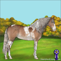 Horse Color:Silver Buckskin  and Silver Bay Splash Tobiano 