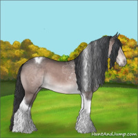 Horse Color:Platinum Bay Tobiano 