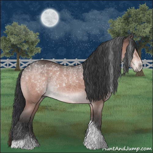 Horse Color:Platinum Bay Tobiano