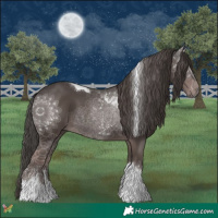 Horse Color:Platinum Liver Chestnut Tobiano 