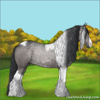 Horse Color:Platinum Brown Tobiano 