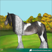 Horse Color:Platinum Brown Tobiano 