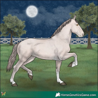 Horse Color:Platinum Bay Pearl Tobiano 
