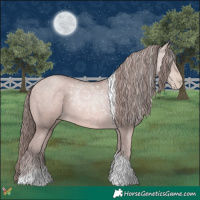 Horse Color:Platinum Bay Pearl Tobiano 