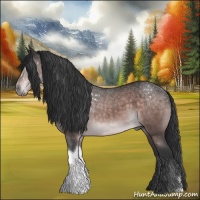 Horse Color:Platinum Brown Tobiano 