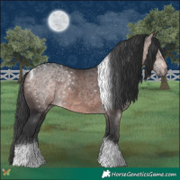 Horse Color:Platinum Bay Tobiano 