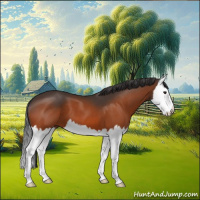 Horse Color:Brown Splash 