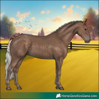 Horse Color:Silver Black 
