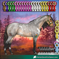 Horse Color:White Spotted Buckskin Roan 