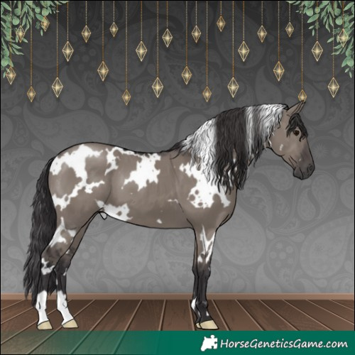Horse Color:White Spotted Smoky Grullo 