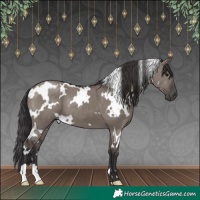 Horse Color:White Spotted Smoky Grullo