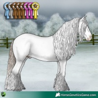 Horse Color:White Spotted Liver Chestnut Appaloosa 